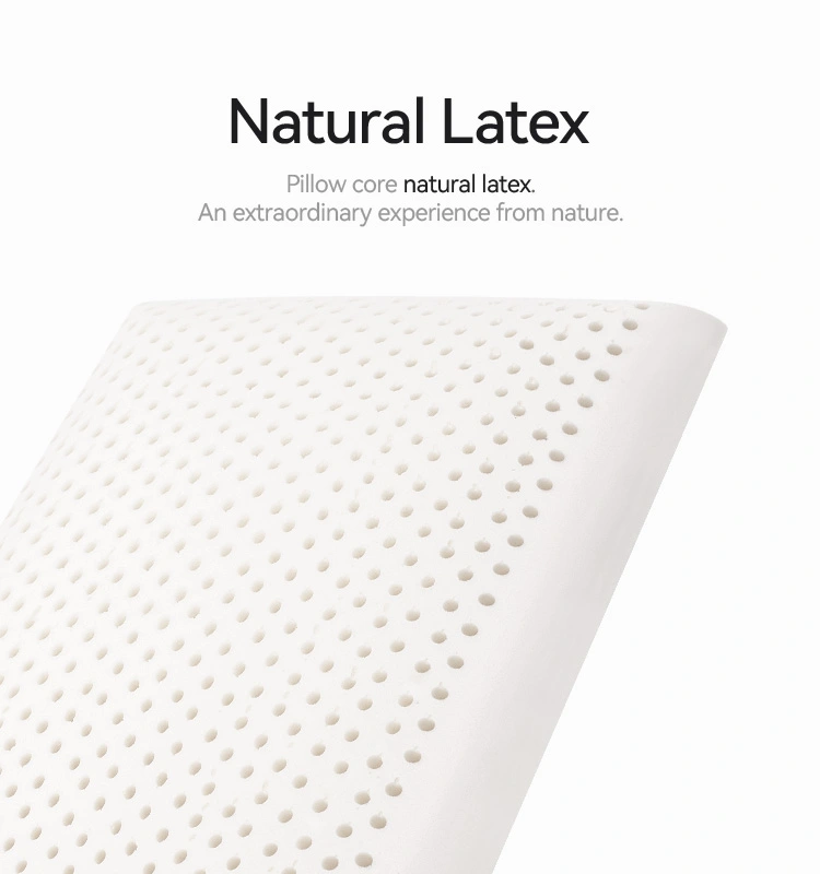 King Size Latex Bread Pillow